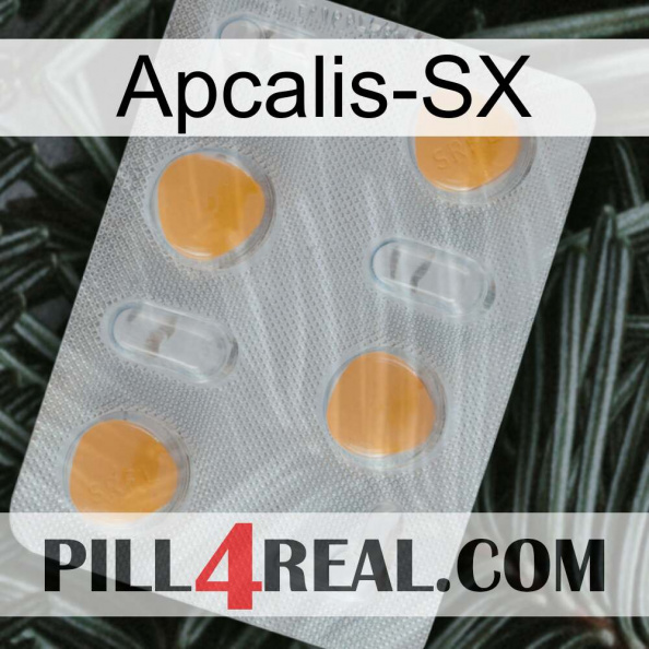 Apcalis-Sx 24.jpg